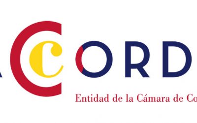 Accorde :: naming e identidad corporativa